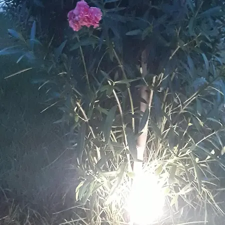 Holiday home Deliziosa Casetta